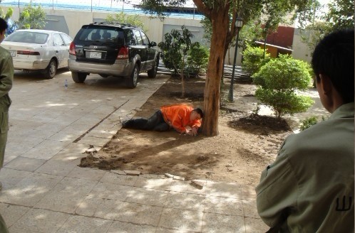 學習利用樹木遮蔽